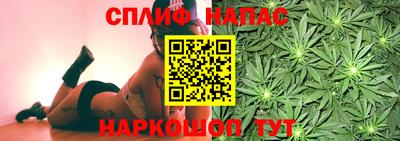 индика Ливны